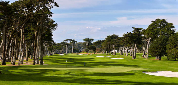 TPC Harding Park